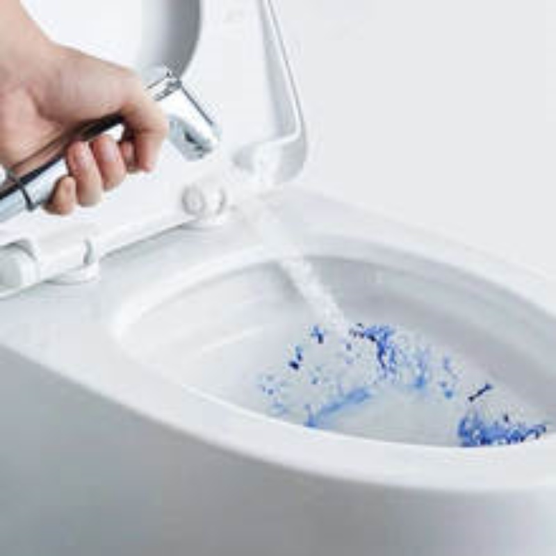 Pulvérisateur de bidet portati - Non Electric Bidet Attachment Dual Nozzle avis et prix