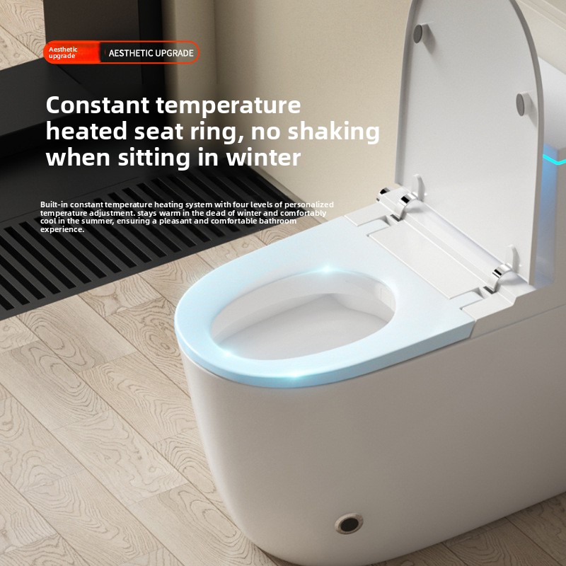 Toilettes intelligentes pour u - Smart Toilet All In One Automatic Flush avis et prix