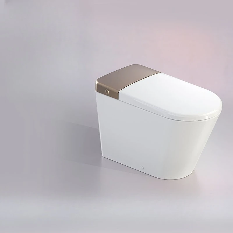 Toilette intelligente tout-en- - Smart Toilet All In One Automatic Flush avis et prix