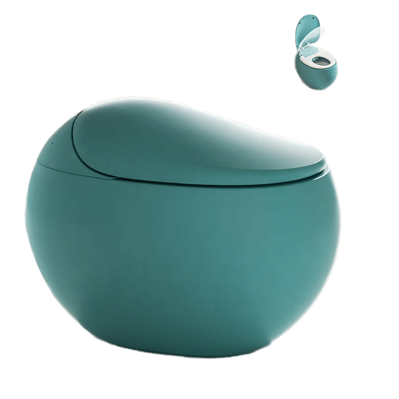 Bidet électrique intelligent t - Smart Toilet All In One Automatic Flush avis et prix