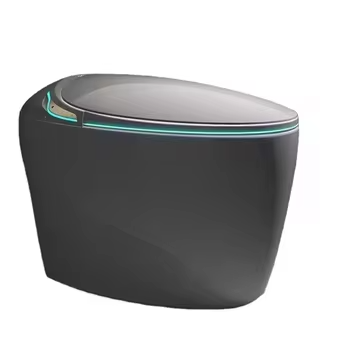 Bidet électrique intelligent t - Smart Toilet All In One Automatic Flush avis et prix