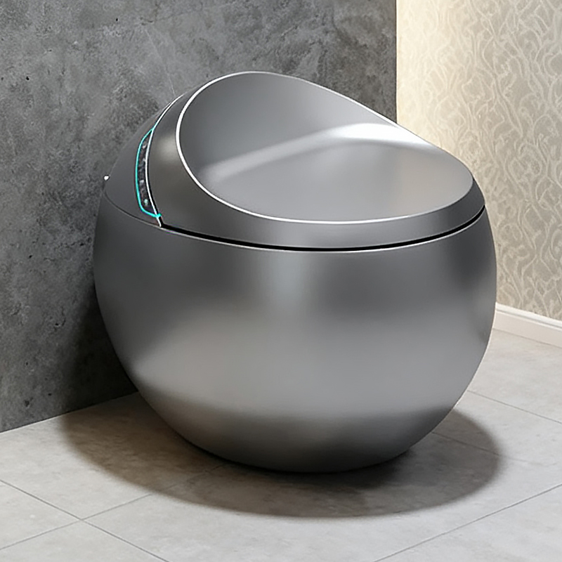 Bidet de toilette intelligent  - Elongated Bidet Toilet Seat Warm Dryer avis et prix