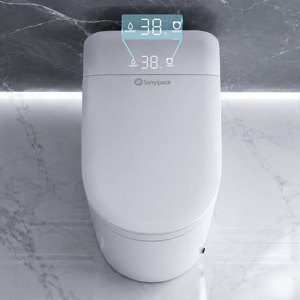 Sanyipace Siège de toilette in - Non Electric Bidet Attachment Dual Nozzle avis et prix
