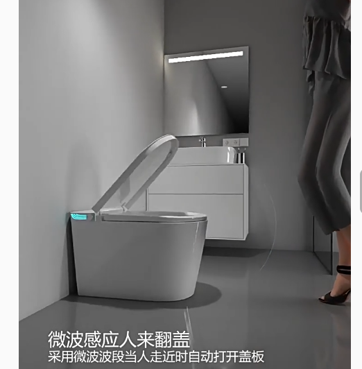 WC intelligent sans réservoir  - Smart Bidet Toilet Seat Heated Electric avis et prix