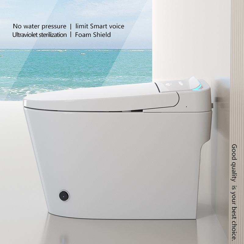 Toilettes électriques intellig - Smart Toilet All In One Automatic Flush avis et prix